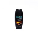 Kupka Palmolive man energising 250ml